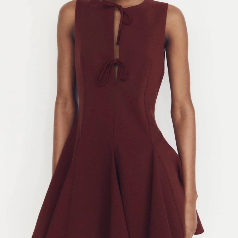 Zara Sleeveless Burgundy Mini Dress